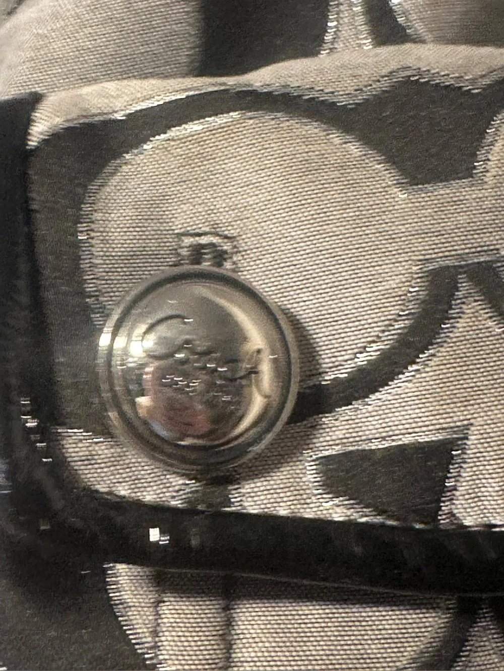 Coach Y2K Poppy Sig. Sateen Lurex Outline Flap Drawstring Backpack MSRP: $278